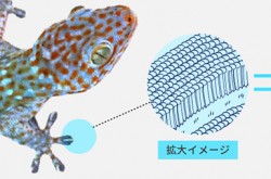 Mitsubishi Materials develops new material with properties of metal and rubber