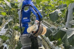 YASKAWA’s cucumber leaf scraping robot to be fully launched