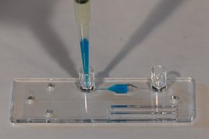 Image showing an example of reagent flow in the molded microchannel plate 